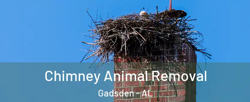 Chimney Animal Removal Gadsden - AL