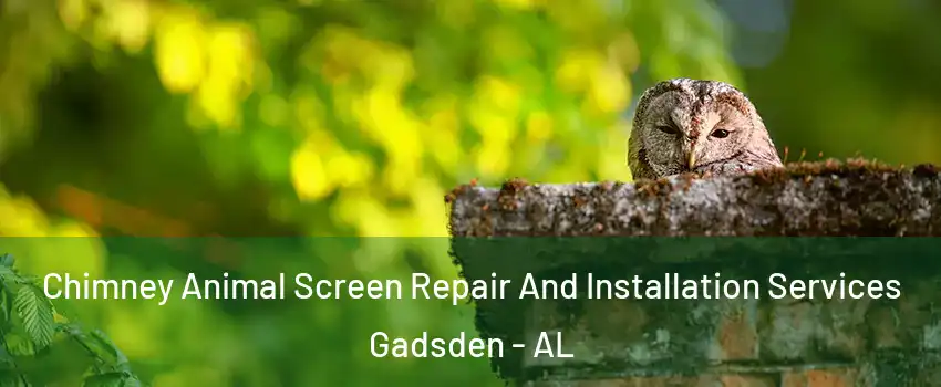  Chimney Animal Screen Repair And Installation Services Gadsden - AL