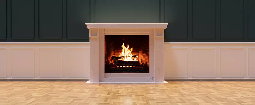 Napoleon Electric Fireplaces Inspection Service in Gadsden, Alabama