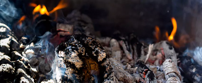Creosote Removal Experts in Gadsden, AL
