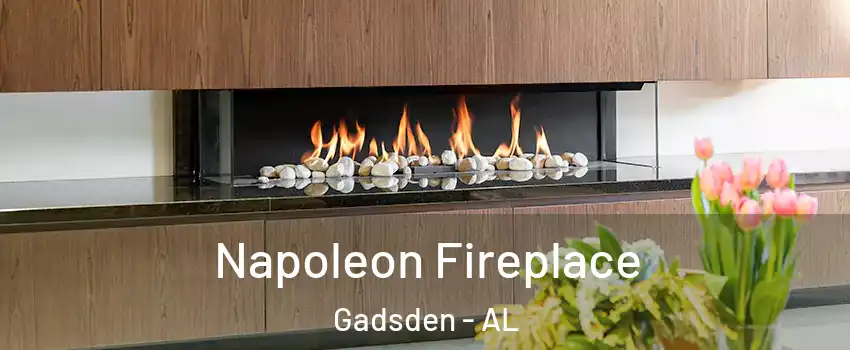  Napoleon Fireplace Gadsden - AL
